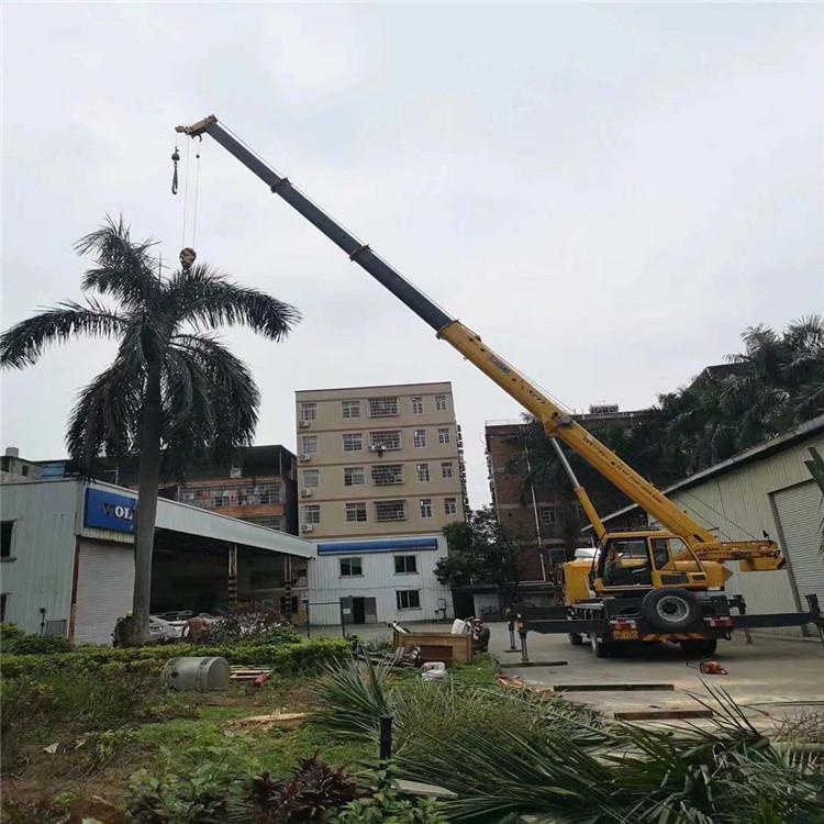 长洲吊车吊大树几种方法